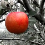 И не введи нас во искушение