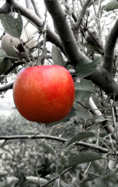 И не введи нас во искушение