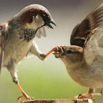 Нас предупреждали, что это всё кончится