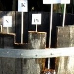 О счастье и бочке