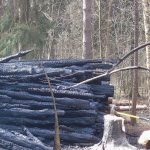 О болезни под названием «любовь»