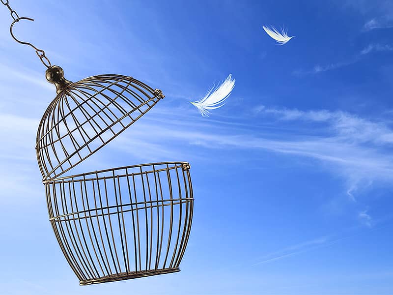 Предпостное Евангелие