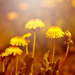 Мешают ли соцсети духовной жизни