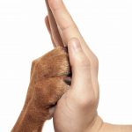 Избирательное милосердие