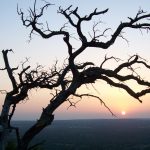 Когда не найдется для Господа и пары смокв