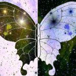 Бабочка Брэдбери